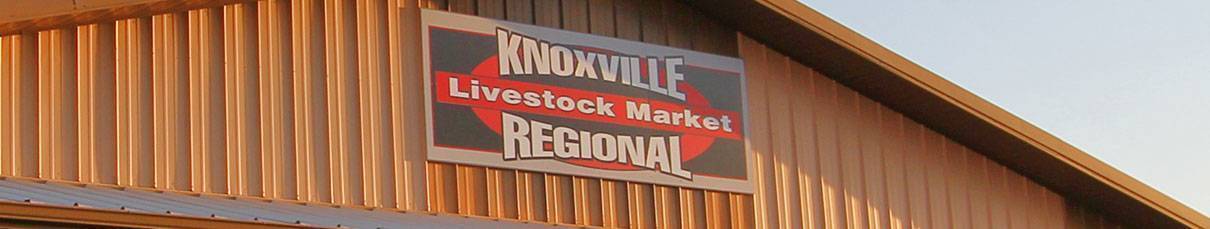Knoxville Regional